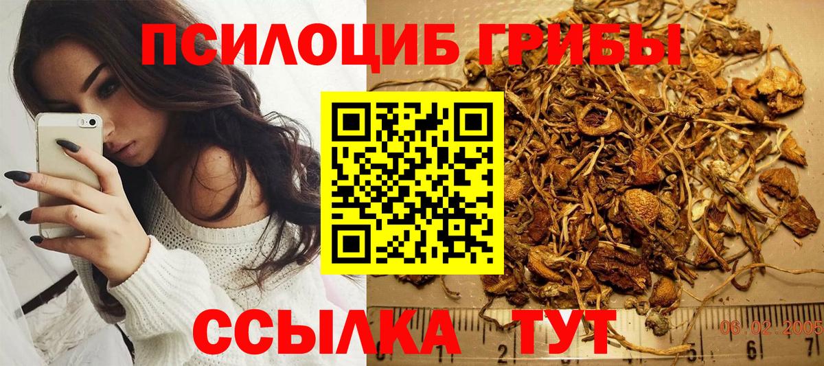 Псилоцибиновые грибы Psilocybe  Вход с VPN  Тольятти 