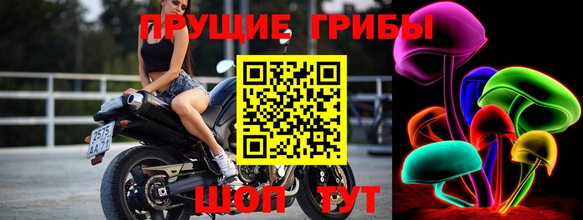 Псилоцибиновые грибы прущие грибы Тольятти